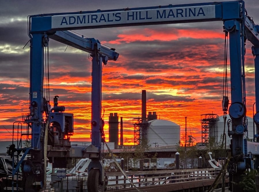 Judge orders immediate release of four immigrants