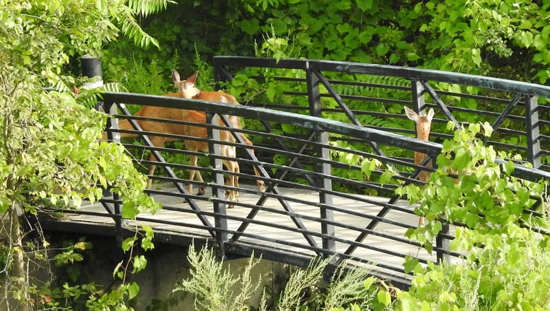 Boston moves to protect outdoor workers on hot days; Downtown could get a jazz club