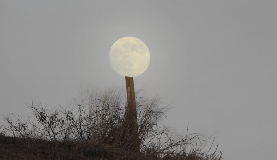 Roslindale pool crisis temporarily averted