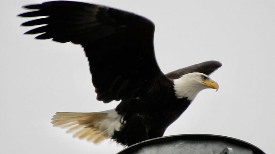 Two shot in Cambridge; house burns down in Dorchester