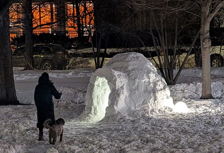 ICE doesn't wait for conviction of alleged surgery-performing non-doctor