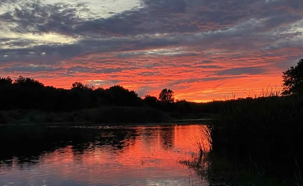 Somerville mayor doesn't even make it out of the preliminary