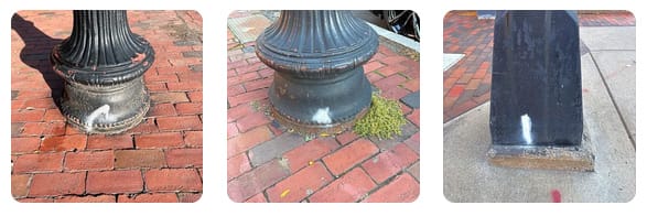 Estate of serial Republican candidate ordered to pay more than $92 million in fraud case