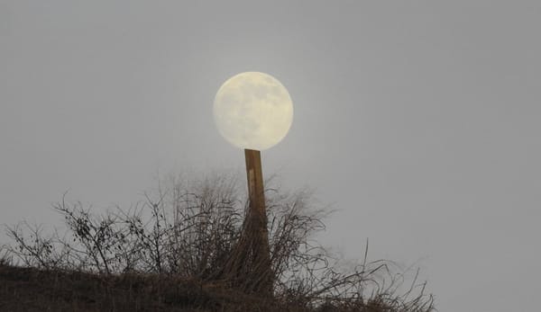 Roslindale pool crisis temporarily averted