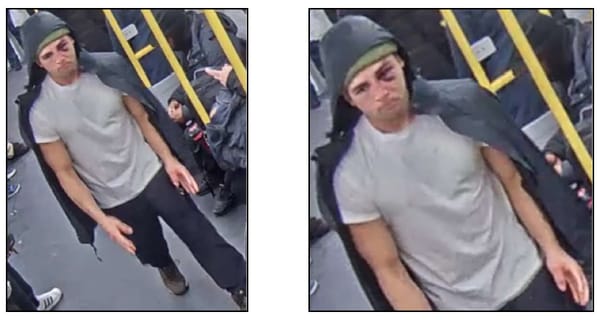 Federal judges rule against regime in immigration cases; scavengers feast at Jamaica Pond