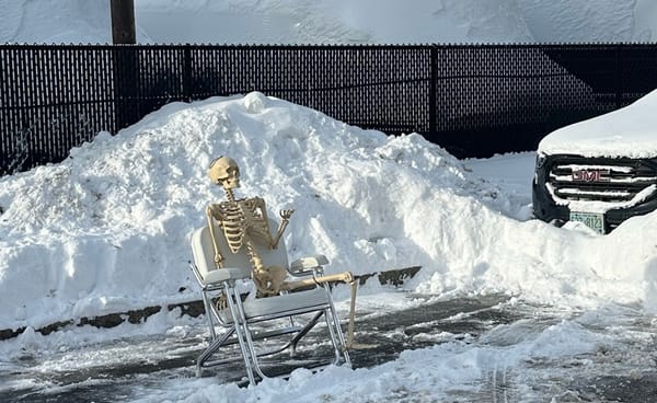 Red Line woes continue; nobody wants to see that Melania movie