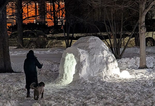 ICE doesn't wait for conviction of alleged surgery-performing non-doctor